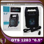 اسپیکر GTS-1283