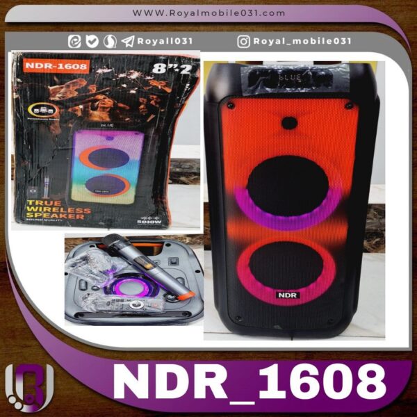 اسپیکر چمدانی بزرگ NDR -1608